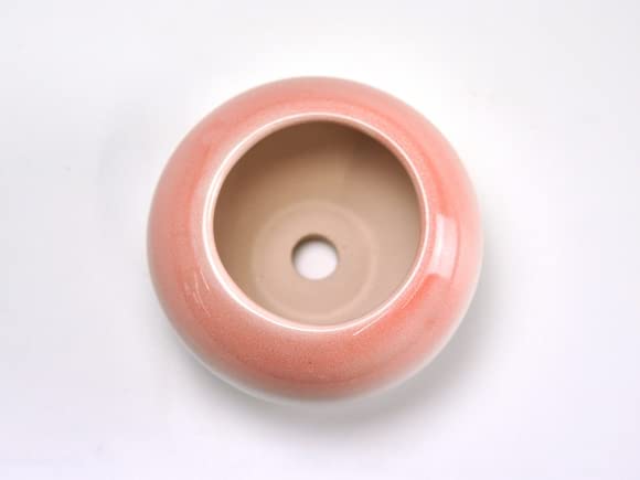 Amazon.co.jp: 盆栽妙 ピンク3.5号 鉢 幅約11cm×高さ約7cm 盆栽 鉢